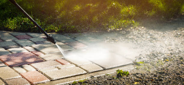 Best Soft Washing  in Mill Valley, CA