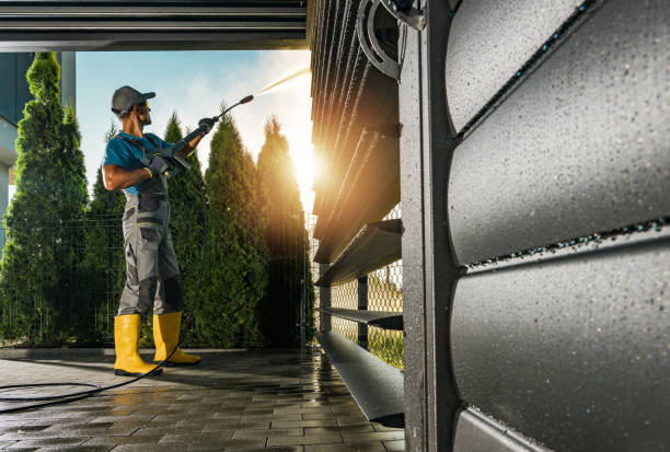 Best Graffiti Removal  in Mill Valley, CA